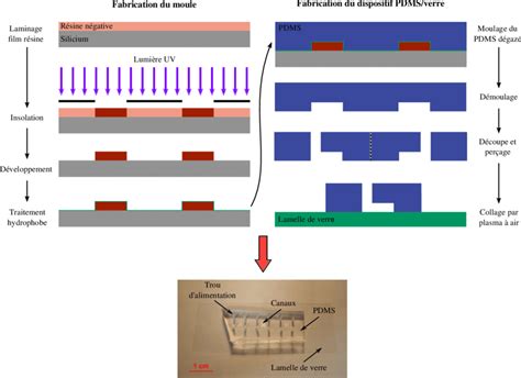 Schéma d'une puce microfluidique pour analyse d'échantillons biologiques