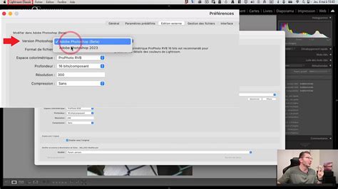 Interface de l'outil Supprimer dans Lightroom Classic