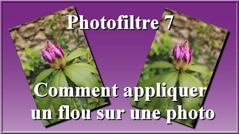 Exemple d'application de filtre de flou dans PhotoFiltre