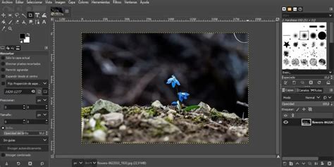 Interface de GIMP avec la boîte à outils et le panneau des calques