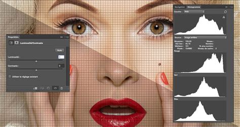 Comparatif avant/après de la correction de luminosité et contraste d'une photo prise en forêt.