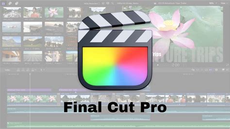 Icônes représentant les différentes catégories de clips dans Final Cut Pro (maître, proxy, etc.).