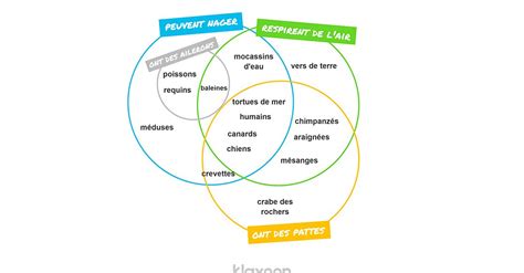 Exemples de différents types de diagrammes (Venn, arête de poisson, cycle) réalisables avec Canva.