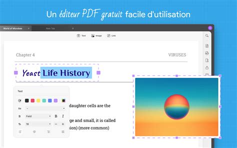 Exemple d'utilisation de Content-Aware Fill pour supprimer du texte