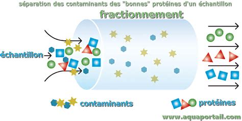 Infographie expliquant les différences entre le fractionnement et le découpage de clips vidéo dans un logiciel de montage.