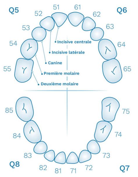 Schéma expliquant l'utilisation de la formule 