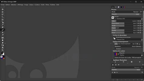 Interface de GIMP montrant l'outil 