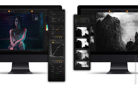 Interface de la Nik Collection avec ses différents modules