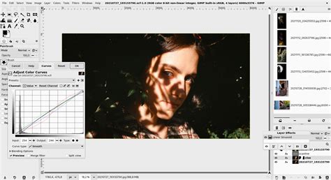 Exemple d'image dans GIMP avec le filtre