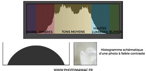 Infographie expliquant le concept de résolution relative en fonction des différents écrans de visualisation