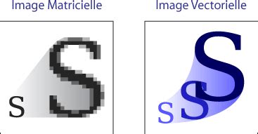 Comparaison visuelle entre une image matricielle pixelisée et une image vectorielle nette après agrandissement.