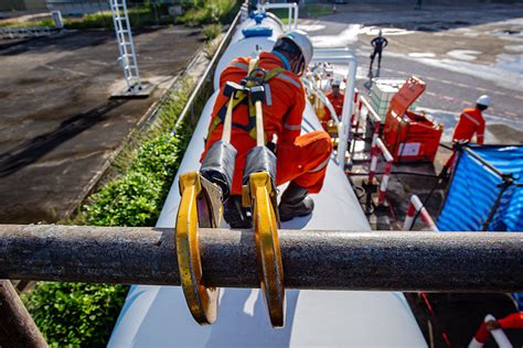 Illustration montrant l'outil Plume en action, avec des exemples de création de points d'ancrage et de manipulation de courbes de Bézier.