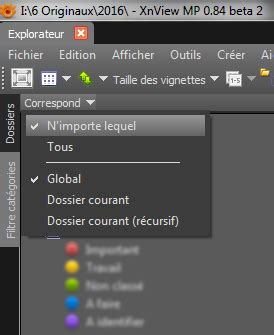Interface de XnViewMP montrant le panneau des catégories et les options de métadonnées