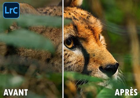 Schéma des principaux outils de retouche dans Lightroom