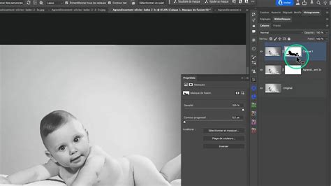 Exemple d'image avec un masque appliqué pour corriger l'arrière-plan