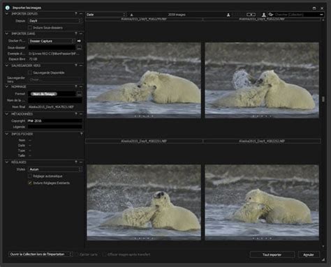 Comparaison visuelle des modes Session et Catalogue dans Capture One