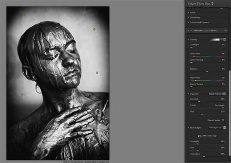 Interface de Silver Efex Pro dans Photoshop