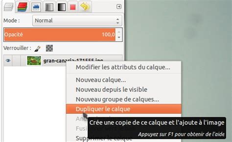 Capture d'écran montrant l'option 
