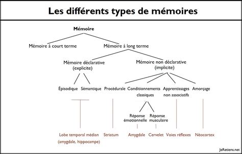 Schéma illustrant l'optimisation de la mémoire dans les modèles d'IA