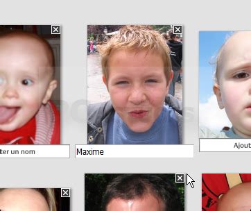 Interface de Picasa avec la section 