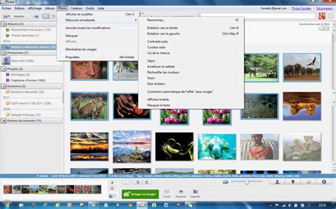 Interface de Picasa avec des options de création de film et de diaporama