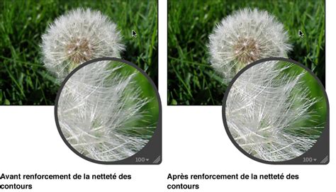 Illustration montrant l'utilisation de l'outil Flou/Netteté sur une zone spécifique d'une image