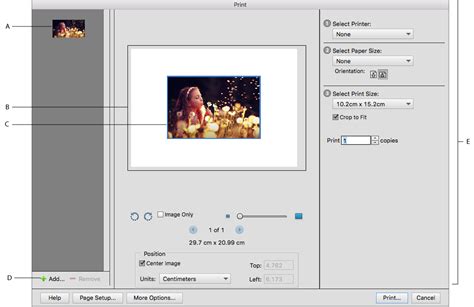 Aperçu des options d'impression dans Photoshop Elements : Photos sélectionnées, Aperçu de la page, Support photo, Ajout de photos