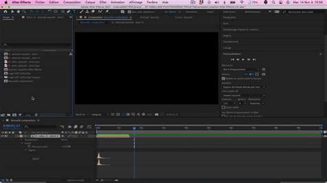 Capture d'écran du panneau Projet d'After Effects montrant les colonnes de code temporel source