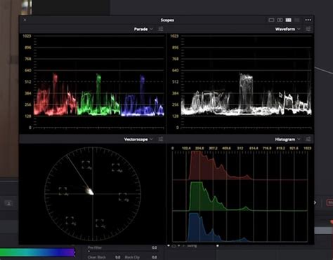 Interface montrant les différents scopes (Waveform, Vectorscope, Histogramme) dans DaVinci Resolve