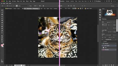 Comparaison visuelle des interfaces de PhotoFiltre et Photoshop, mettant en avant la simplicité de PhotoFiltre