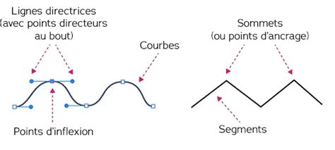 Schéma montrant l'outil Plume et ses points directeurs pour la création de courbes dans Illustrator.