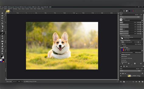 Capture d'écran de l'interface GIMP sur un appareil Android