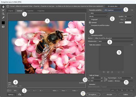 Fenêtre d'enregistrement pour le Web dans Photoshop, avec l'option PNG-24 et Transparence