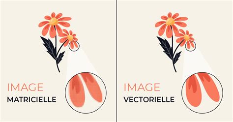 Schéma comparatif entre image matricielle et image vectorielle