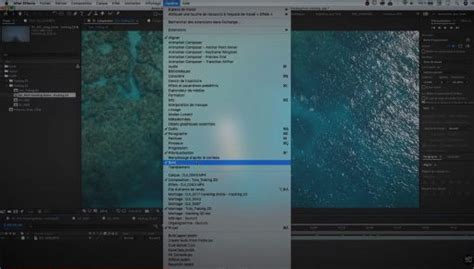 Interface du panneau Suivi dans After Effects, montrant les options de suivi du visage.