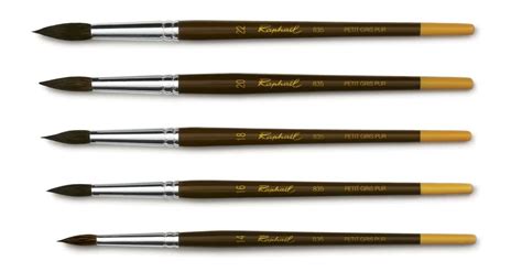 Collection variée de pinceaux disponibles dans Sketchbook