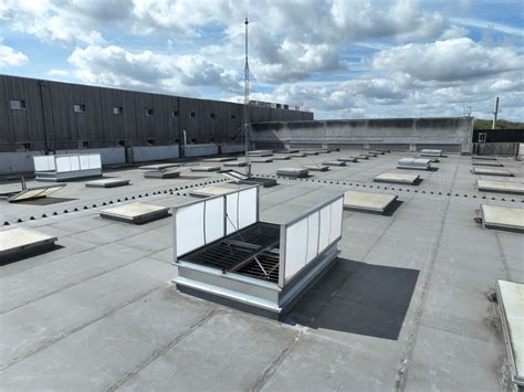 Capture d'écran montrant un modèle intégré dans une rue avec un SkyDome personnalisé dans Twinmotion