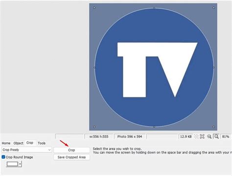 Exemple d'une image recadrée en cercle avec un contour