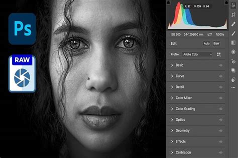 Illustration montrant l'interface du plugin Camera Raw dans Photoshop.