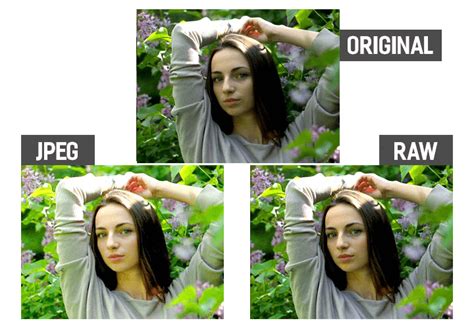 Comparaison visuelle de la perte d'information entre un fichier RAW et un fichier JPEG après une correction de balance des blancs.