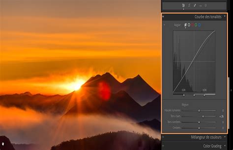 Capture d'écran de la courbe des tons dans Lightroom