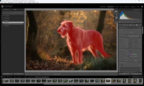 Illustration montrant la sélection d'un sujet par l'IA dans Lightroom