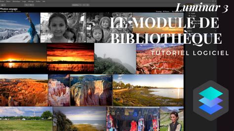 Capture d'écran du module Bibliothèque de Luminar 3, montrant l'organisation des photos par dossiers et albums.