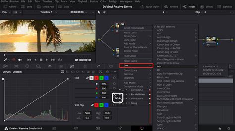 Interface de DaVinci Resolve montrant l'emplacement pour charger des LUTs