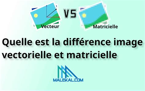Schéma expliquant la différence entre une image matricielle et une image vectorielle