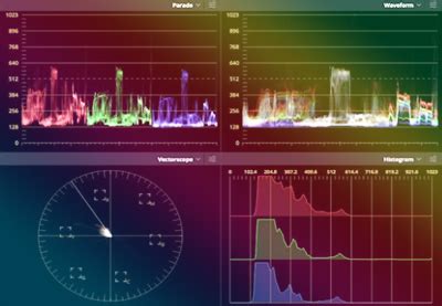 Exemple d'affichage des différents scopes (waveform, parade, vectorscope) dans le panneau Lumetri Scopes.
