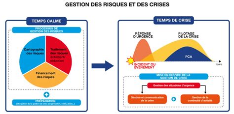 Infographie expliquant les causes potentielles des plantages de logiciels de numérisation