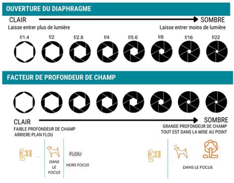 Schéma illustrant les options de réglage de la netteté dans le module d'impression de DxO PhotoLab