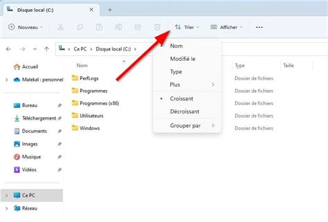 Exemple de fichiers .dop associés à des images dans l'explorateur de DxO PhotoLab