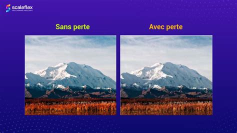 Infographie comparant les formats JPEG et PNG : compression avec perte vs sans perte, taille de fichier, types d'images optimaux.